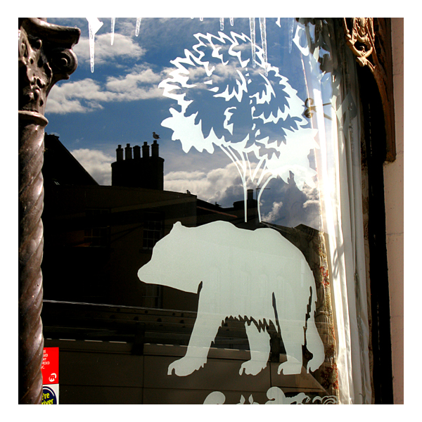 bear at the brown bear pub, berwick on tweed