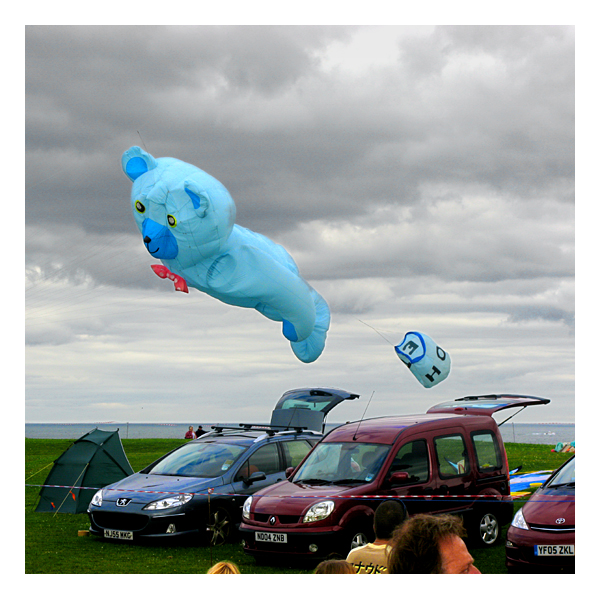bear at whitley bay kite festival