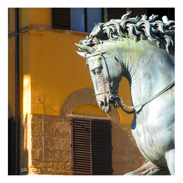 horse in piazza della signoria, florence