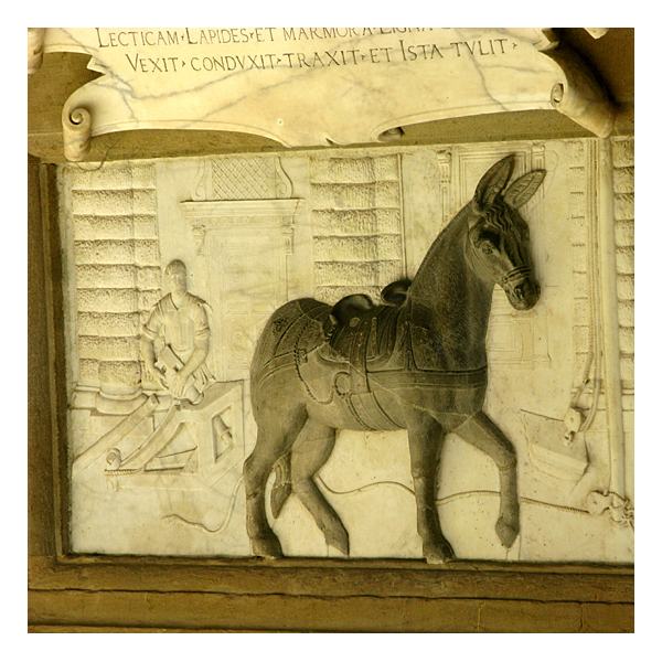 horse at palazzo pitti in florence
