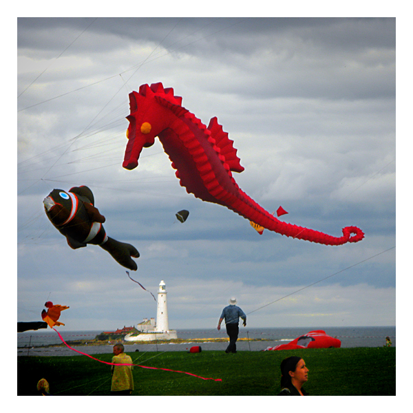 seahorse and fish at whitley bay kite festival