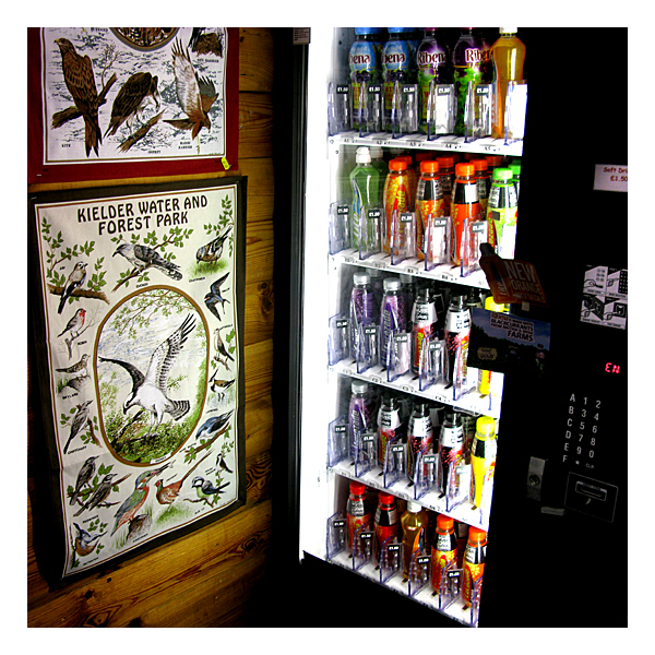birds on a tea towel beside a drinks machine at tower knowe, kielder water
