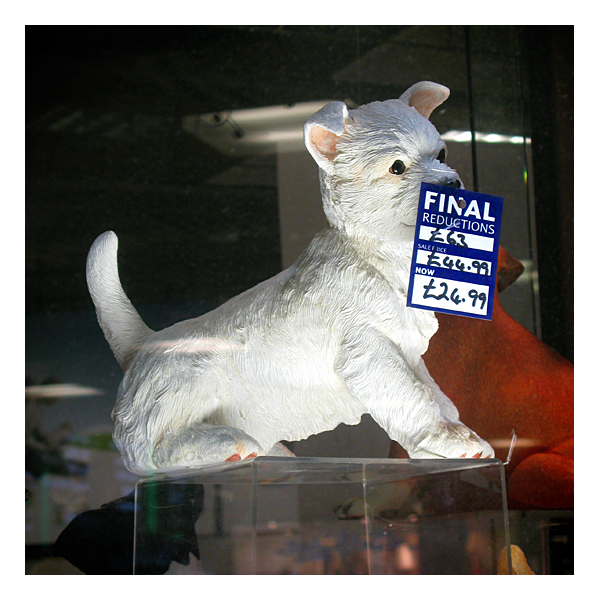 dog in shop window at metro centre, gateshead