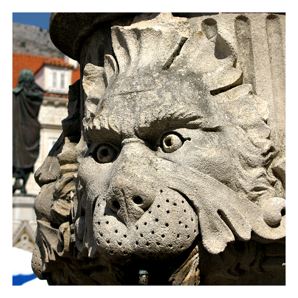 lion in dubrovnik old city
