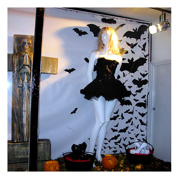 bats in shop window in north shields