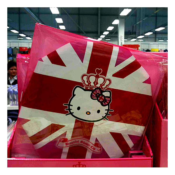 cat in byker, newcastle upon tyne