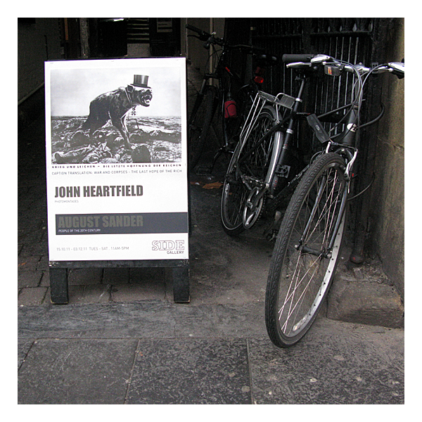 dog at the side gallery in newcastle