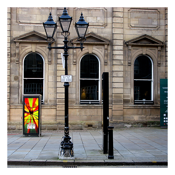 moose near the museum in sunderland