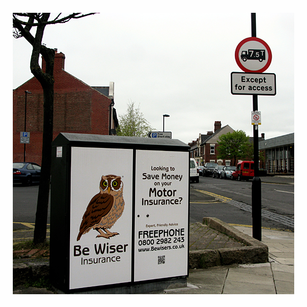large owl on the main street in wallsend, north tyneside