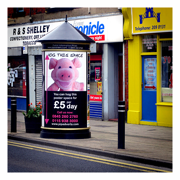 pink pig on the main street in wallsend