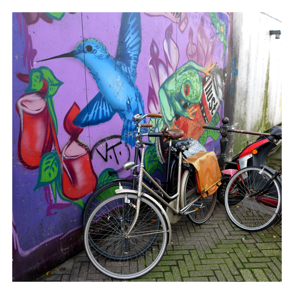 amsterdam hummingbird