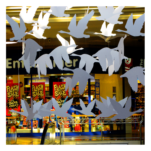 ducks in gateshead 72