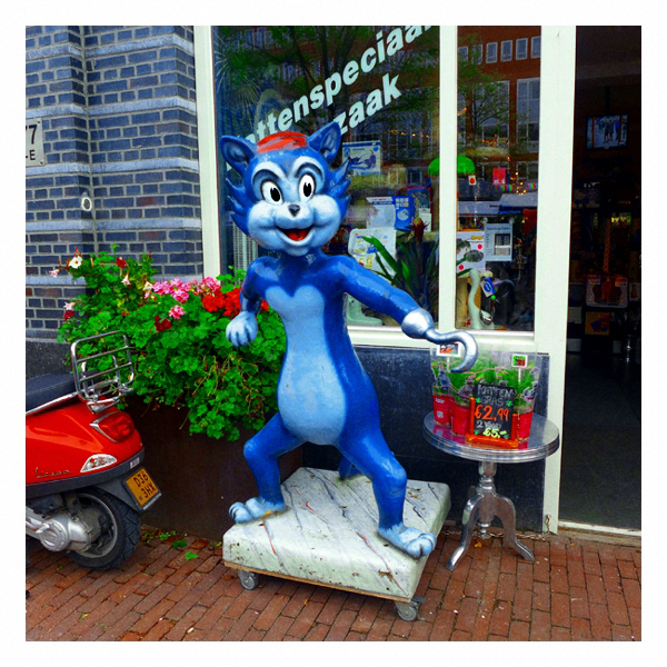 amsterdam cat 72-Exposure #2