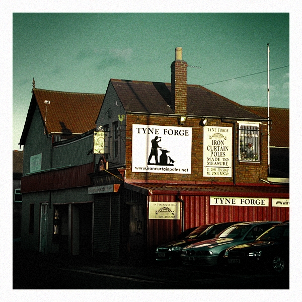 dog in north shields 72-Exposure