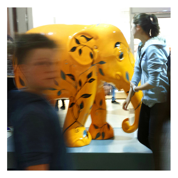 newcastle elephant #3