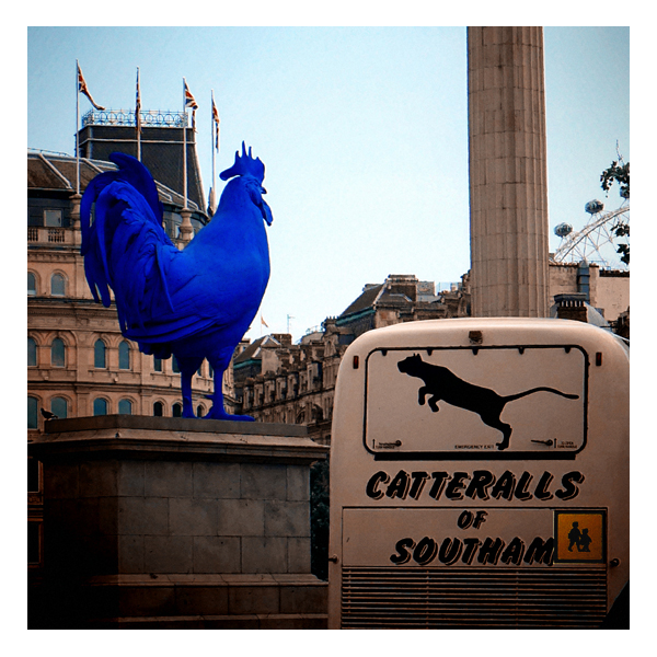 cat and cockeral london-Exposure 72 b